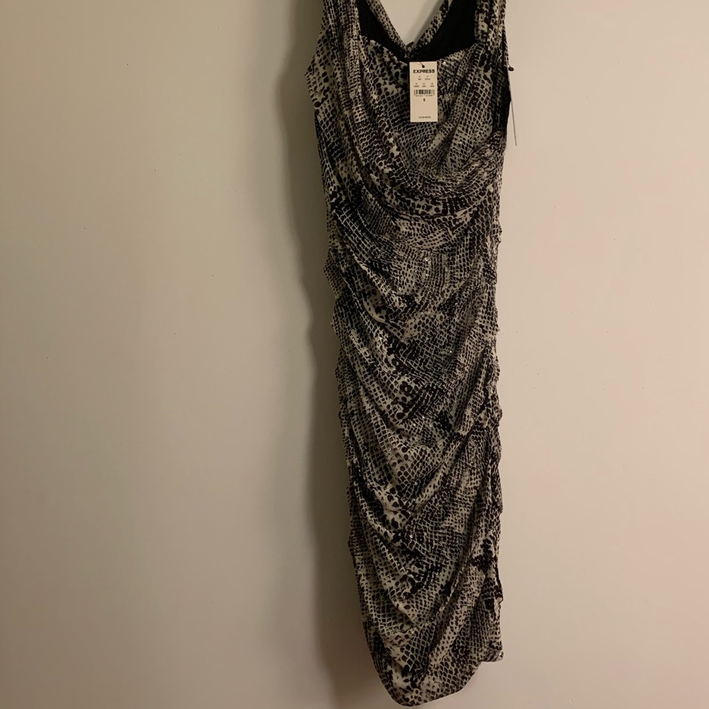 Express Dress